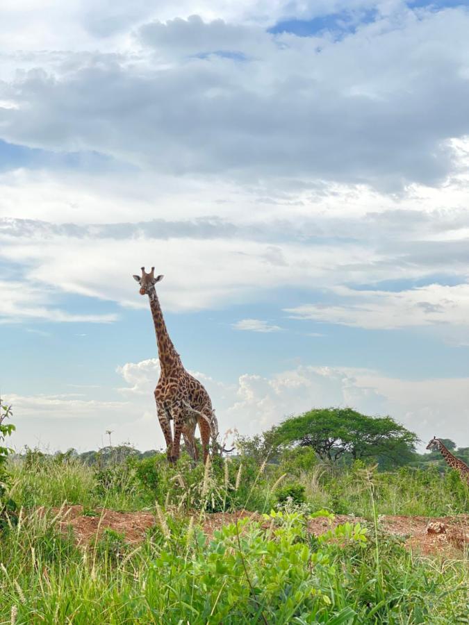 Appartamento Tiny House With Amazing View Arusha Esterno foto